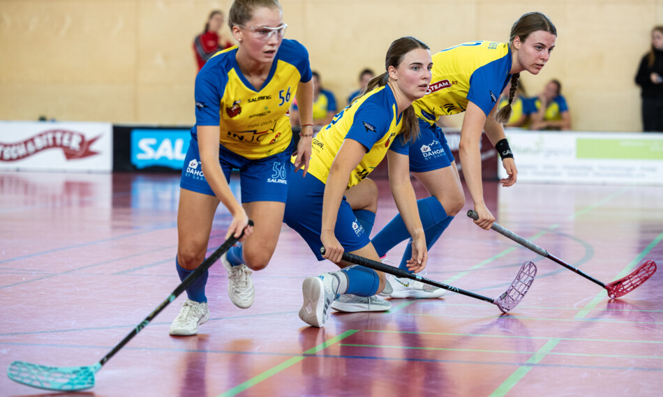 Sieg beim Buli Damen Heimspiel